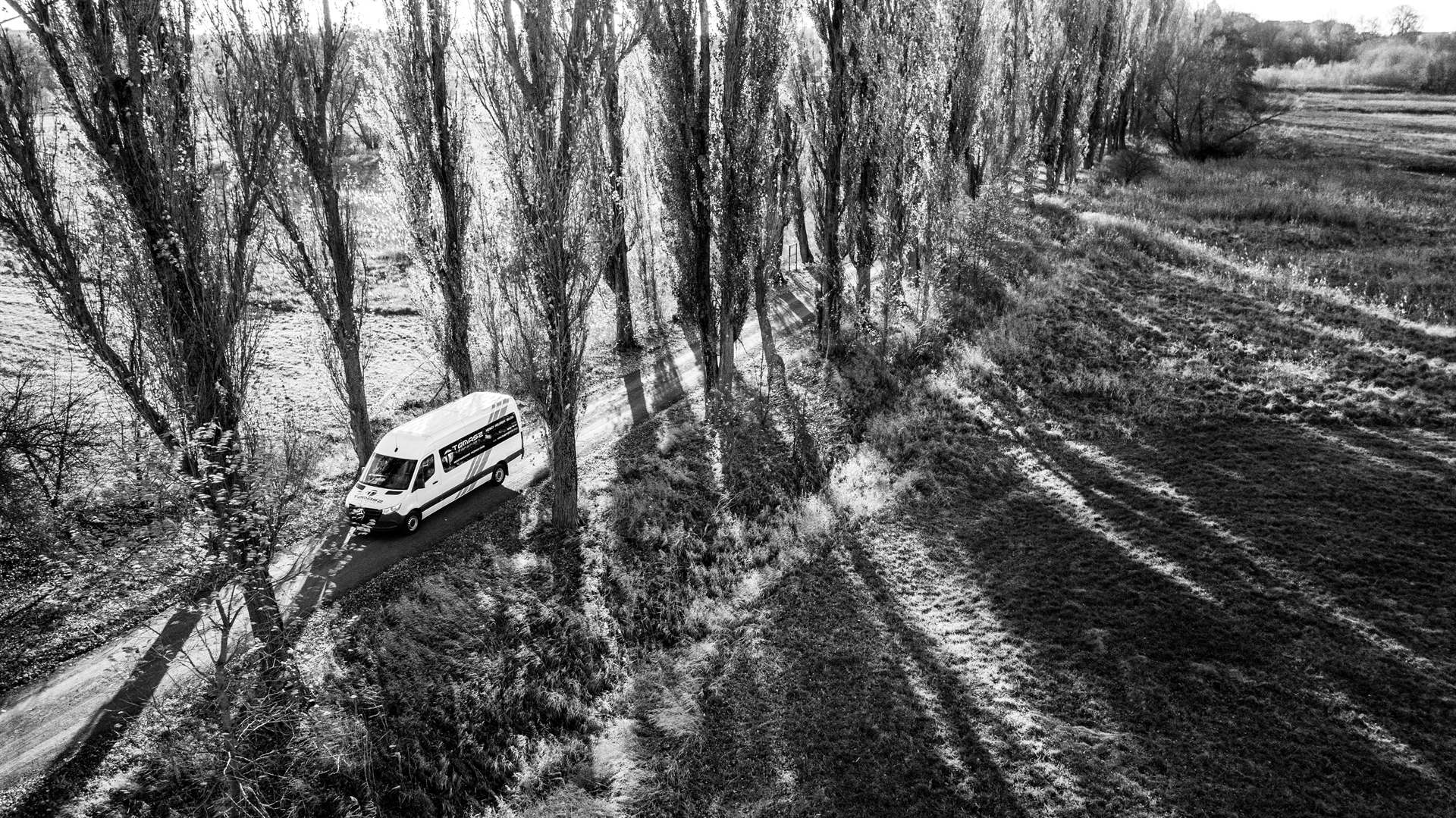 Bus Tomasz Transport w alei topoli — zdjęcie czarno-białe